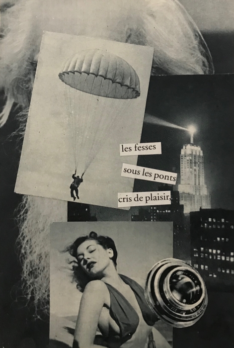 http://www.annamezey.com/files/gimgs/th-57_Cris de plaisir.jpg